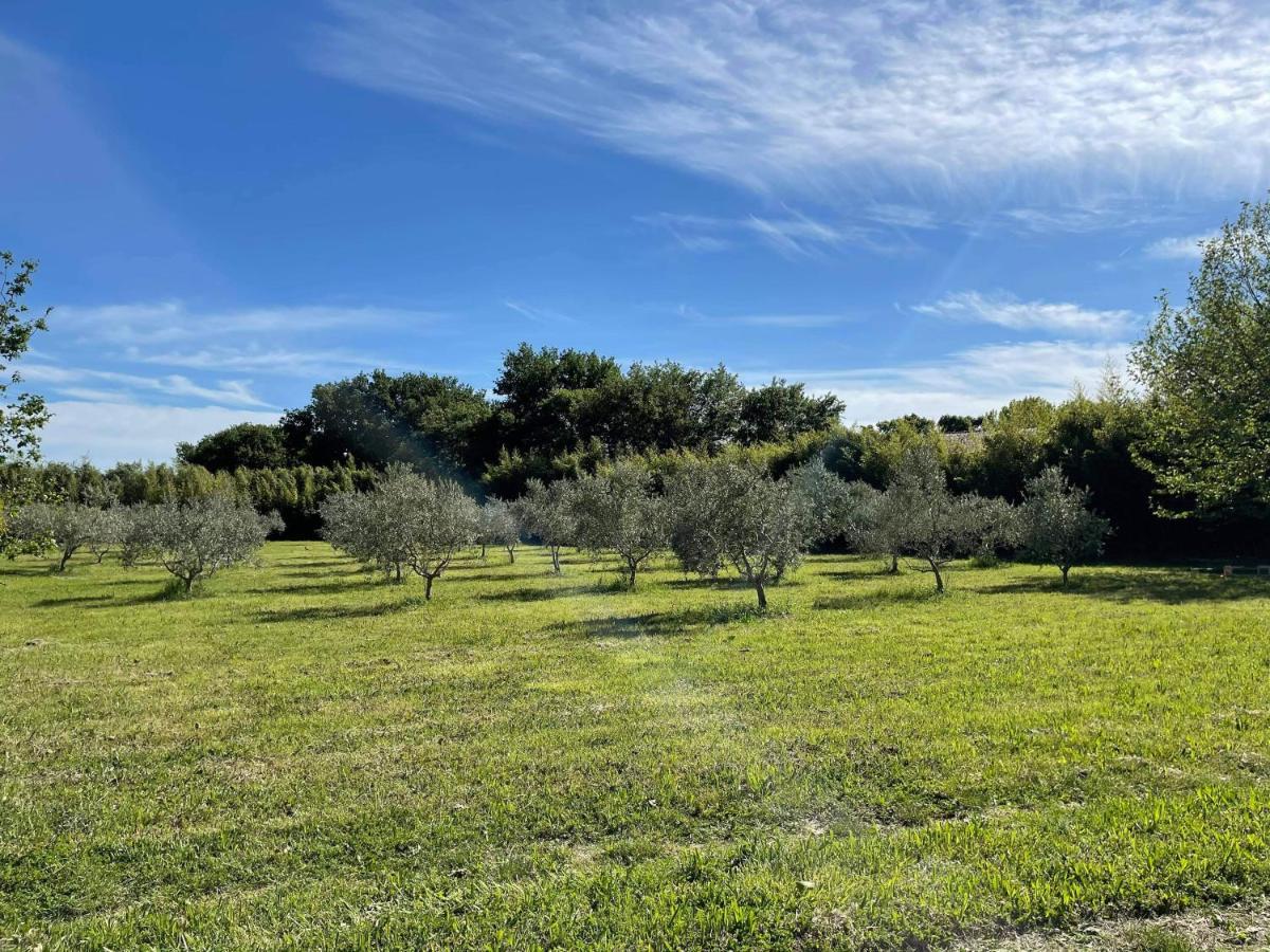Appartement De Charme Sud Luberon Classe 4 Etoiles Puyvert 외부 사진